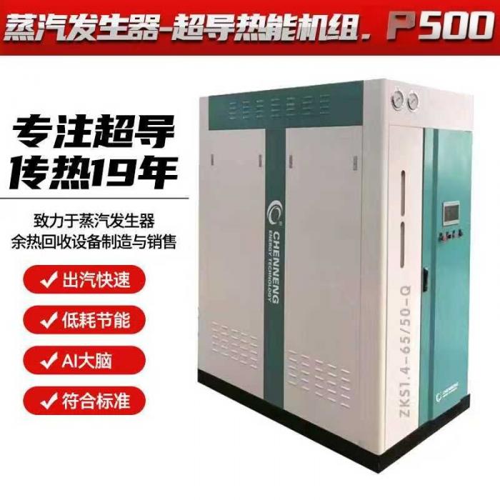 超導(dǎo)蒸汽機(jī)組P500(CN-CDJZ-ST1-0.8-Q6)